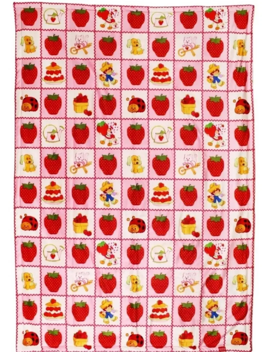 Strawberry Shortcake Cakeworthy 40 x 60 blanket